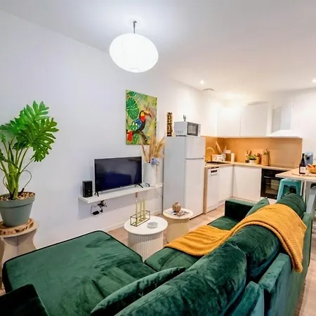 Apartament New! Cosy Plenity Art - T3 - Centre - Parking Gratuit Lourdes