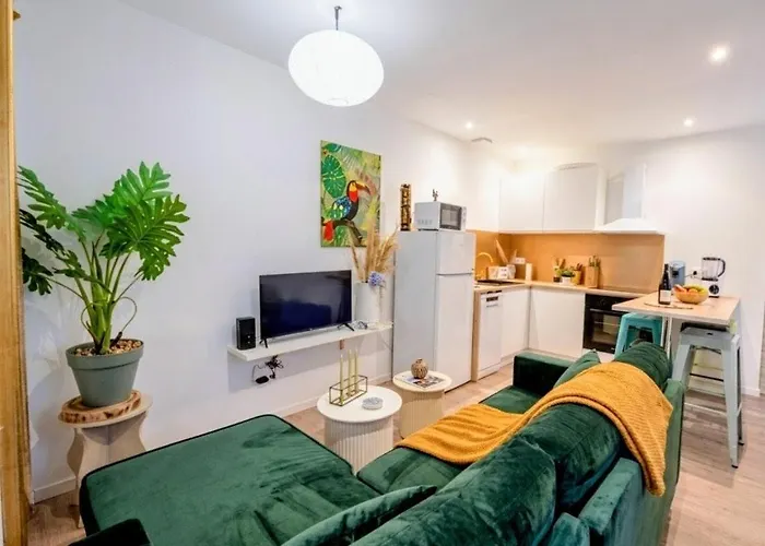 Apartament New! Cosy Plenity Art - T3 - Centre - Parking Gratuit Lourdes